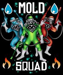 Avatar for Mold Squad Restoration